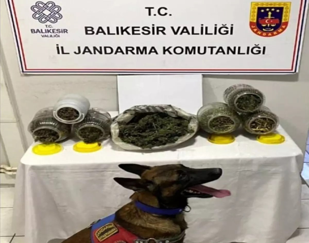 Balıkesir’de Uyuşturucu Operasyonu: 6 Şüpheli Yakalandı